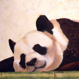 tableau petit panda